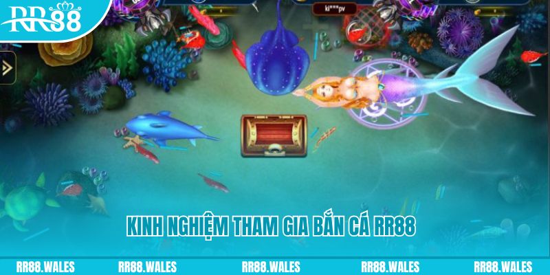 Kinh nghiệm tham gia bắn cá RR88 luôn thắng